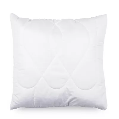 Kvalitex Vankúš Aloe Vera so zipsom