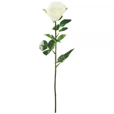 umelá Rastlina Alfred