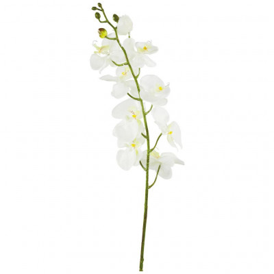 umelá Rastlina Gundula